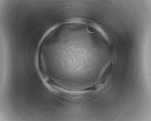 X0000113861139200910011016