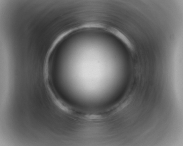 X0000113861140200910011016