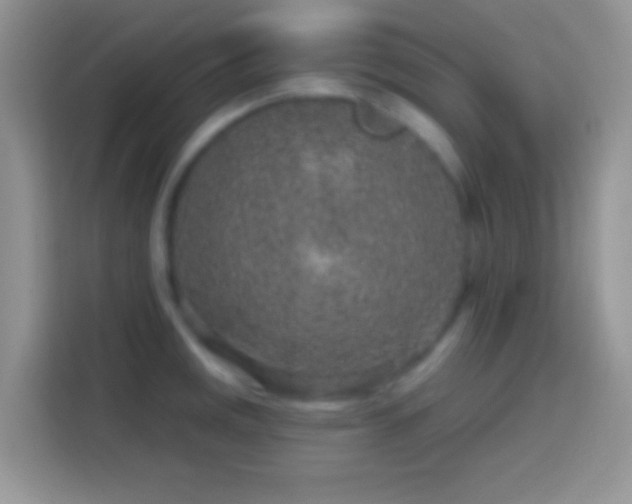 X0000113861141200910011016
