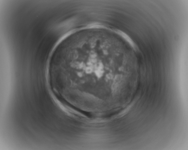 X0000113861142200910011016