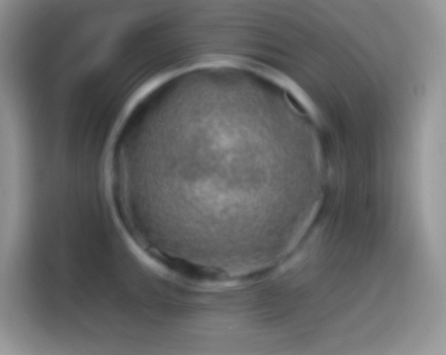 X0000113861143200910011016