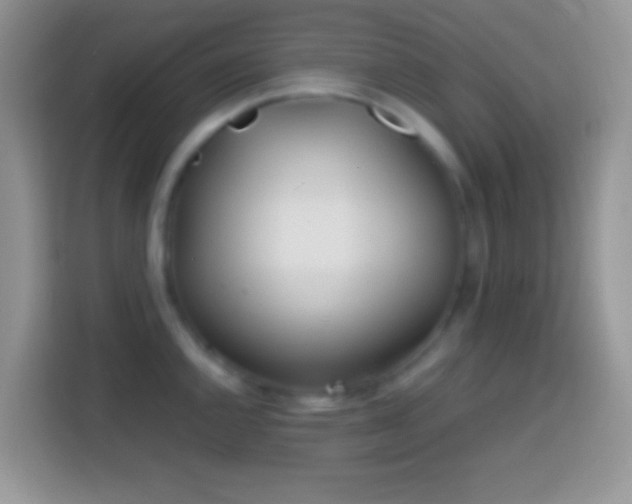 X0000113861144200910011016