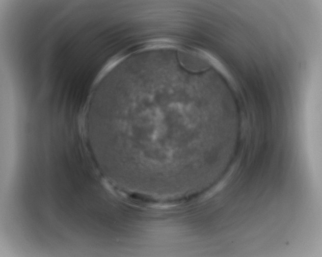 X0000113861145200910011016