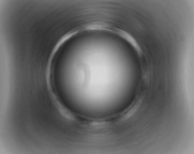 X0000113861146200910011016
