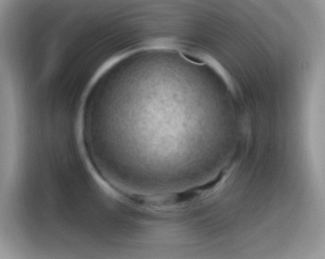 X0000113861147200910011016