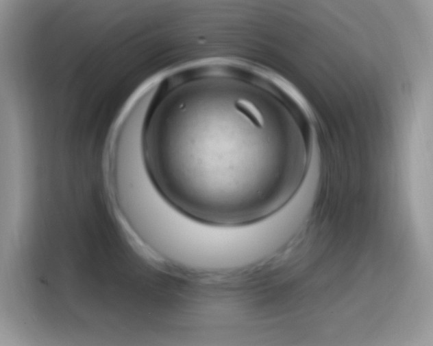 X0000113861148200910011016