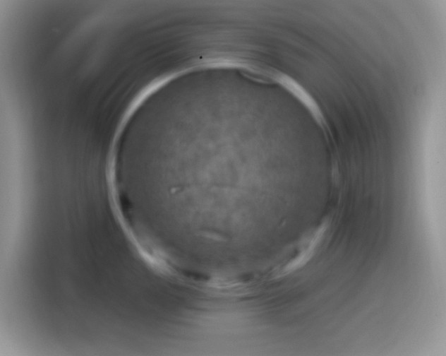 X0000113861149200910011016