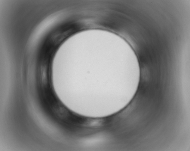 X0000113861150200910011016