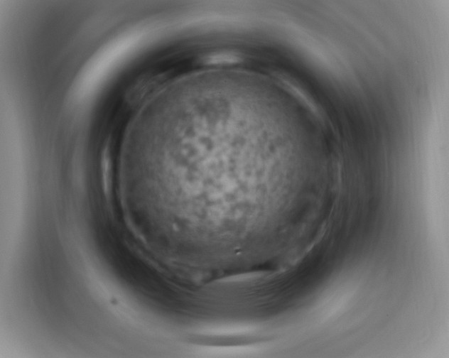 X0000113861151200910011016
