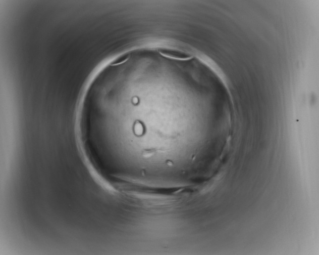 X0000113861152200910011016