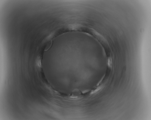 X0000113861155200910011015