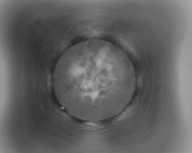 X0000113861156200910011015