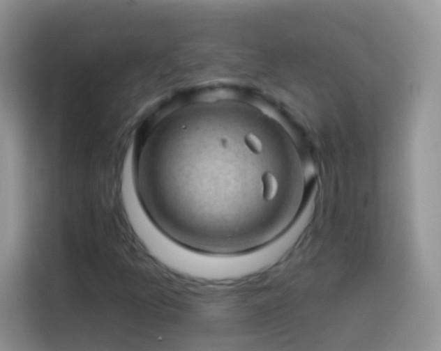 X0000113861157200910011015