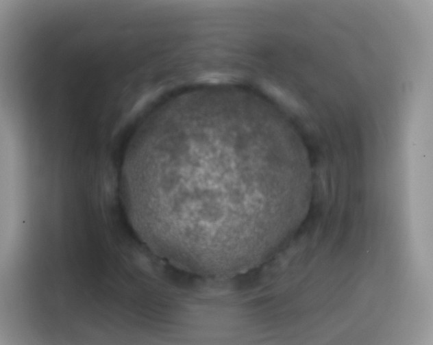X0000113861158200910011015