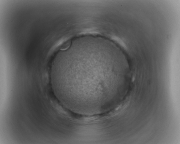 X0000113861159200910011015
