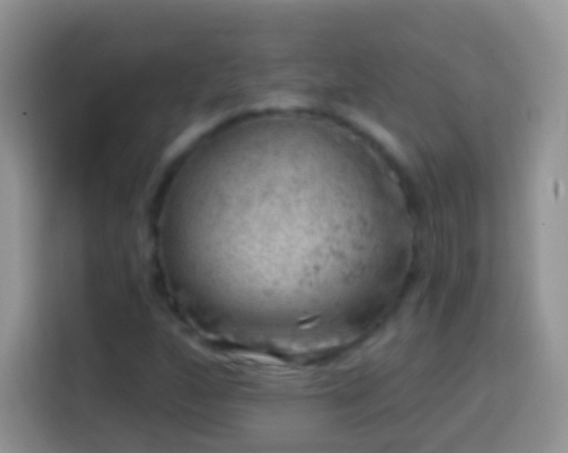 X0000113861160200910011015