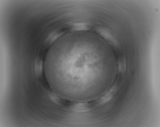 X0000113861161200910011015