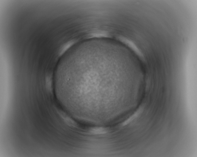 X0000113861162200910011015