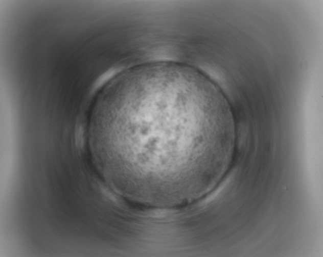 X0000113861163200910011015
