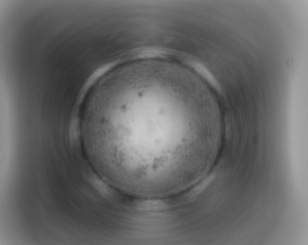 X0000113861164200910011015