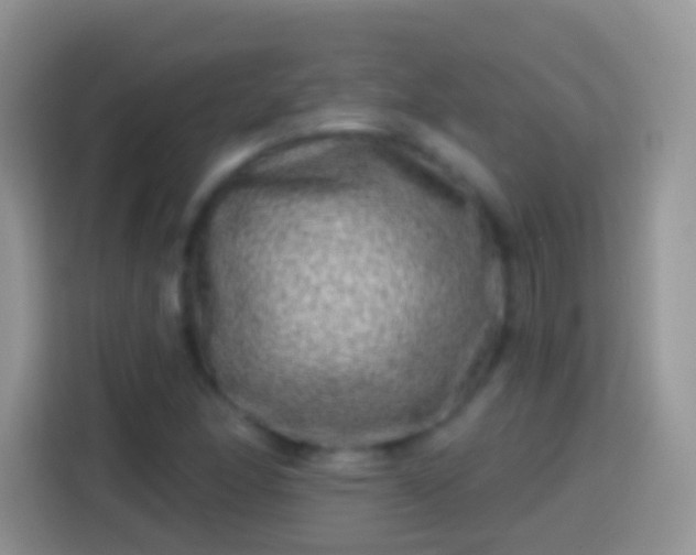X0000113861166200910011015