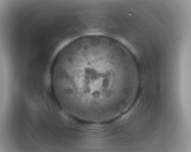 X0000113861167200910011015