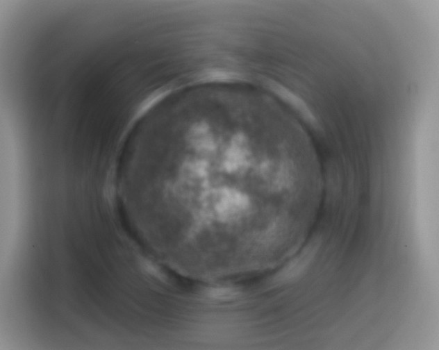 X0000113861170200910011015