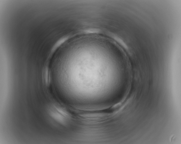 X0000113861171200910011015