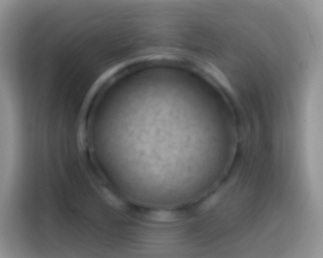 X0000113861172200910011015