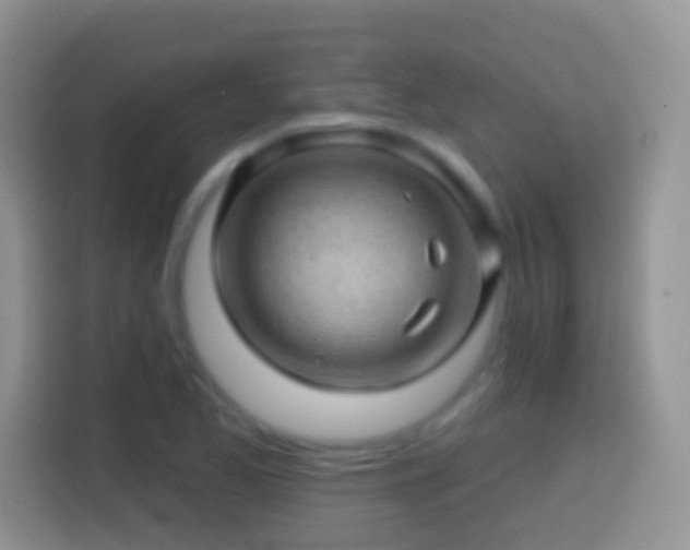 X0000113861173200910011015