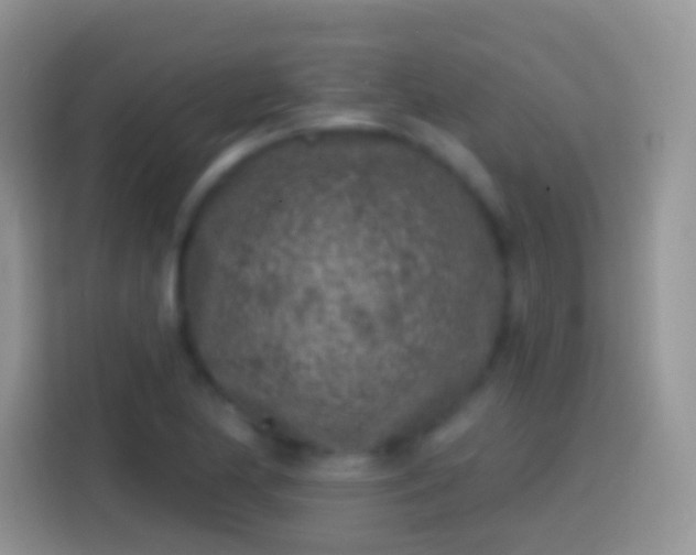 X0000113861174200910011015