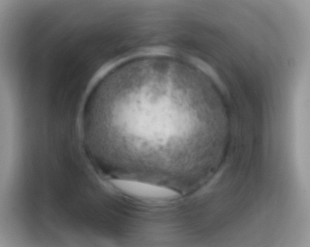 X0000113861176200910011015