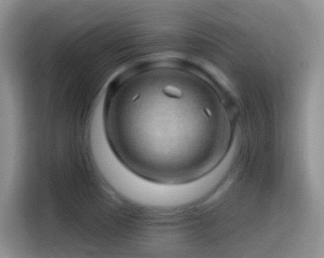 X0000113861177200910011015
