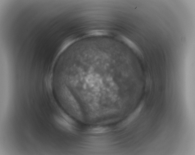 X0000113861178200910011015
