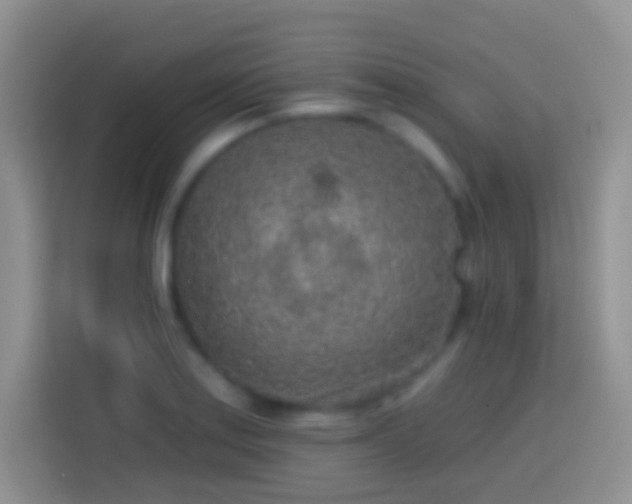 X0000113861179200910011015