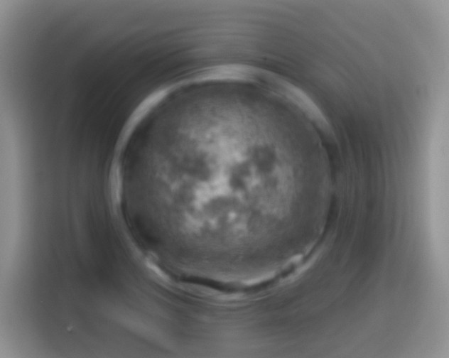 X0000113861180200910011015
