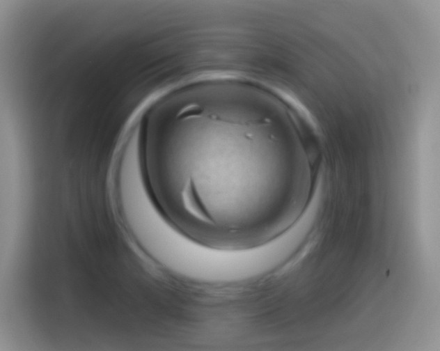 X0000113861181200910011015