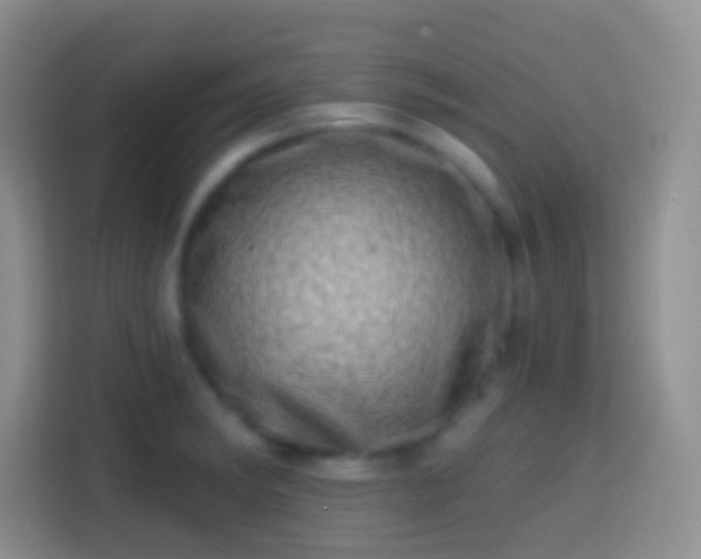 X0000113861182200910011015