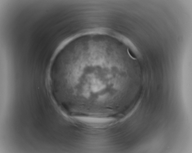 X0000113861184200910011015