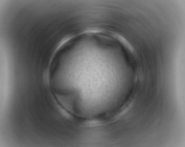 X0000113861186200910011015