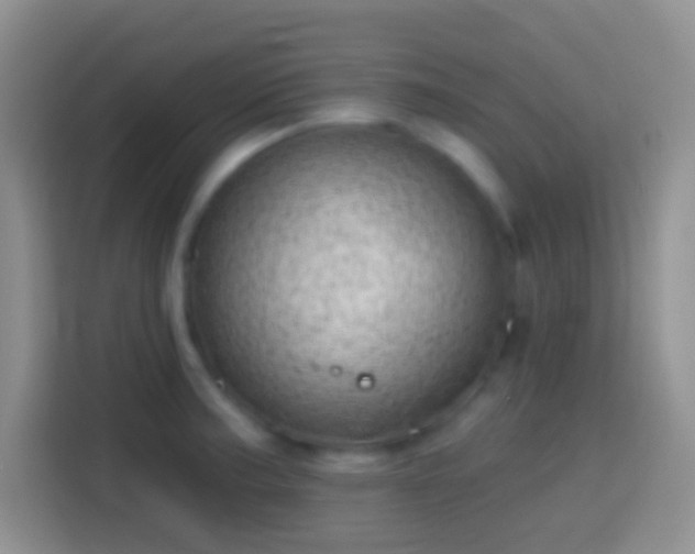 X0000113861187200910011015