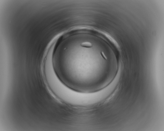 X0000113861189200910011015