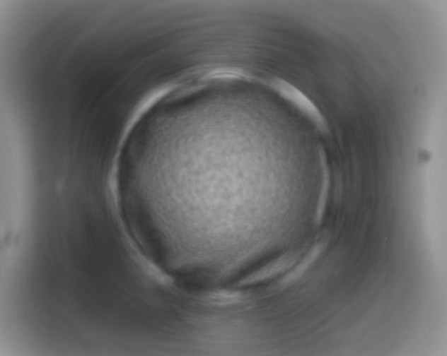 X0000113861190200910011015