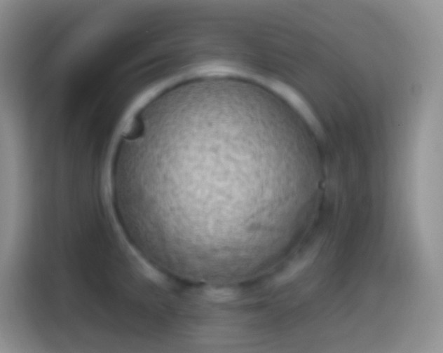 X0000113861191200910011015