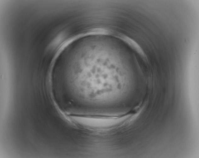 X0000113861192200910011015