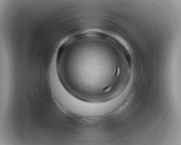 X0000113861193200910011015