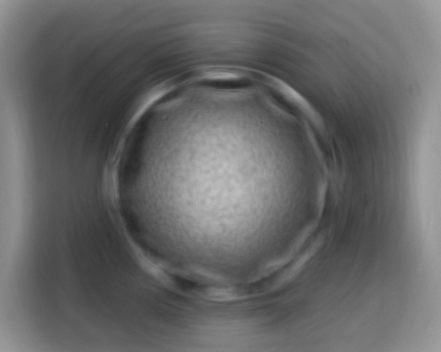 X0000113861194200910011015