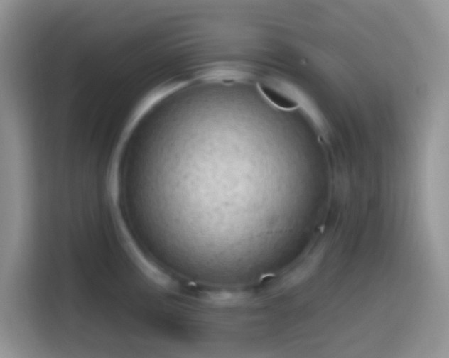 X0000113861195200910011015