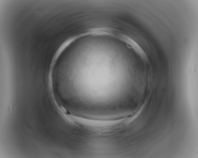 X0000113861196200910011015