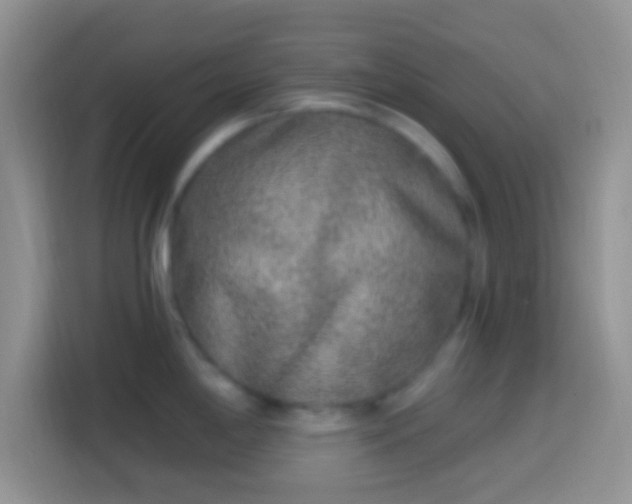X0000113861198200910011015